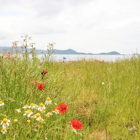 Meeligolleen * Reenroe