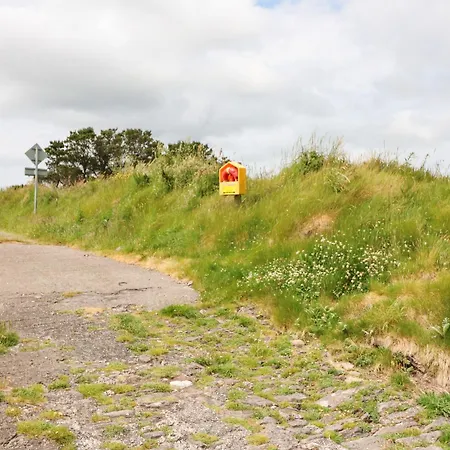 Meeligolleen Reenroe