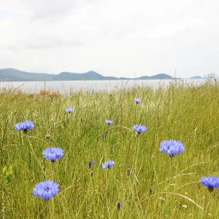 Meeligolleen Holiday home