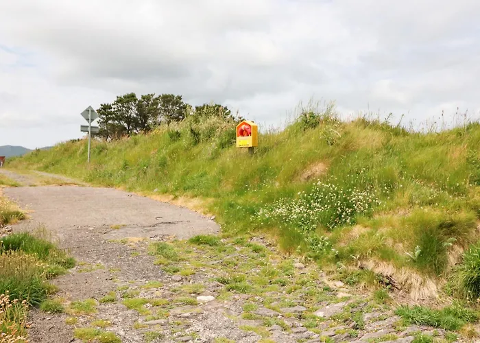 Meeligolleen Reenroe